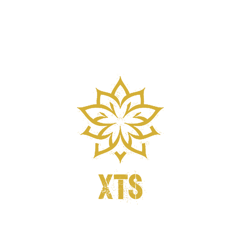 xts gold logo